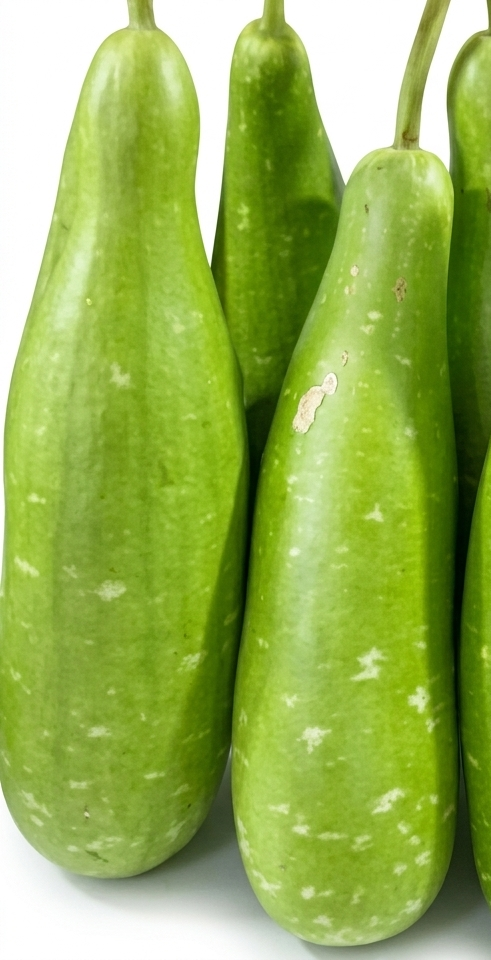 Fresh Lau (Bottle Gourd) – Farm Fresh, Tender & Nutritious Vegetable