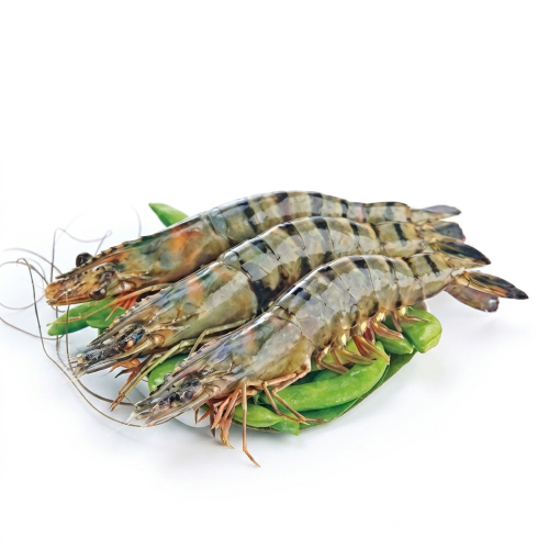 Premium Bagda Chingri – Fresh Black Tiger Prawns, Juicy & Protein-Rich