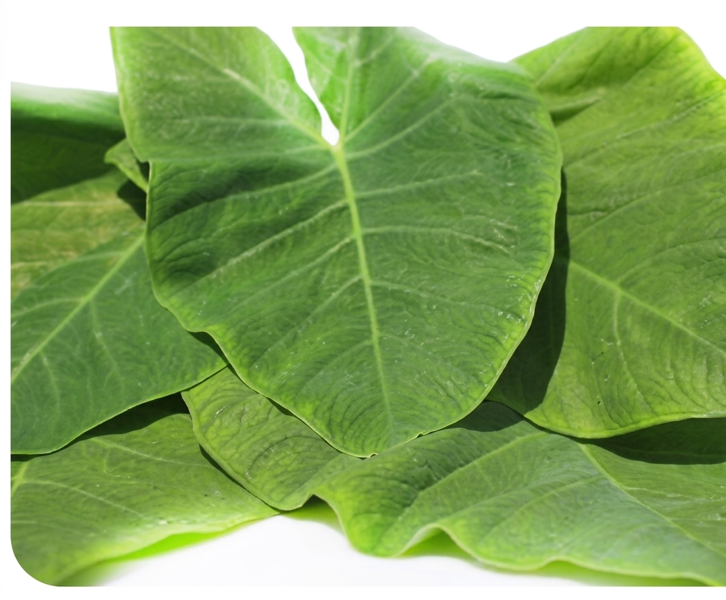 Fresh Taro Saag – Farm Fresh Colocasia Leaves for Traditional Cooking