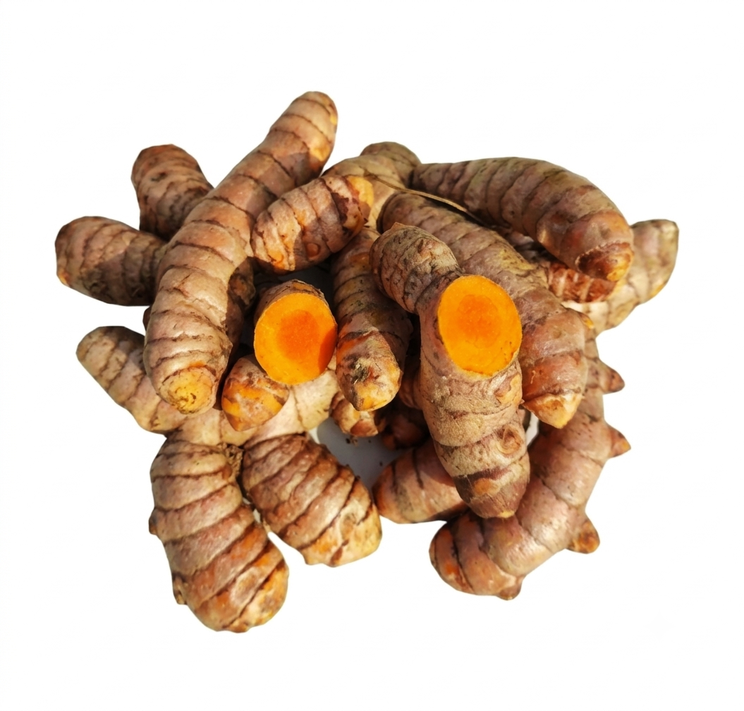 Fresh Raw Turmeric – Aromatic, Earthy & Ideal for Traditional Cooking