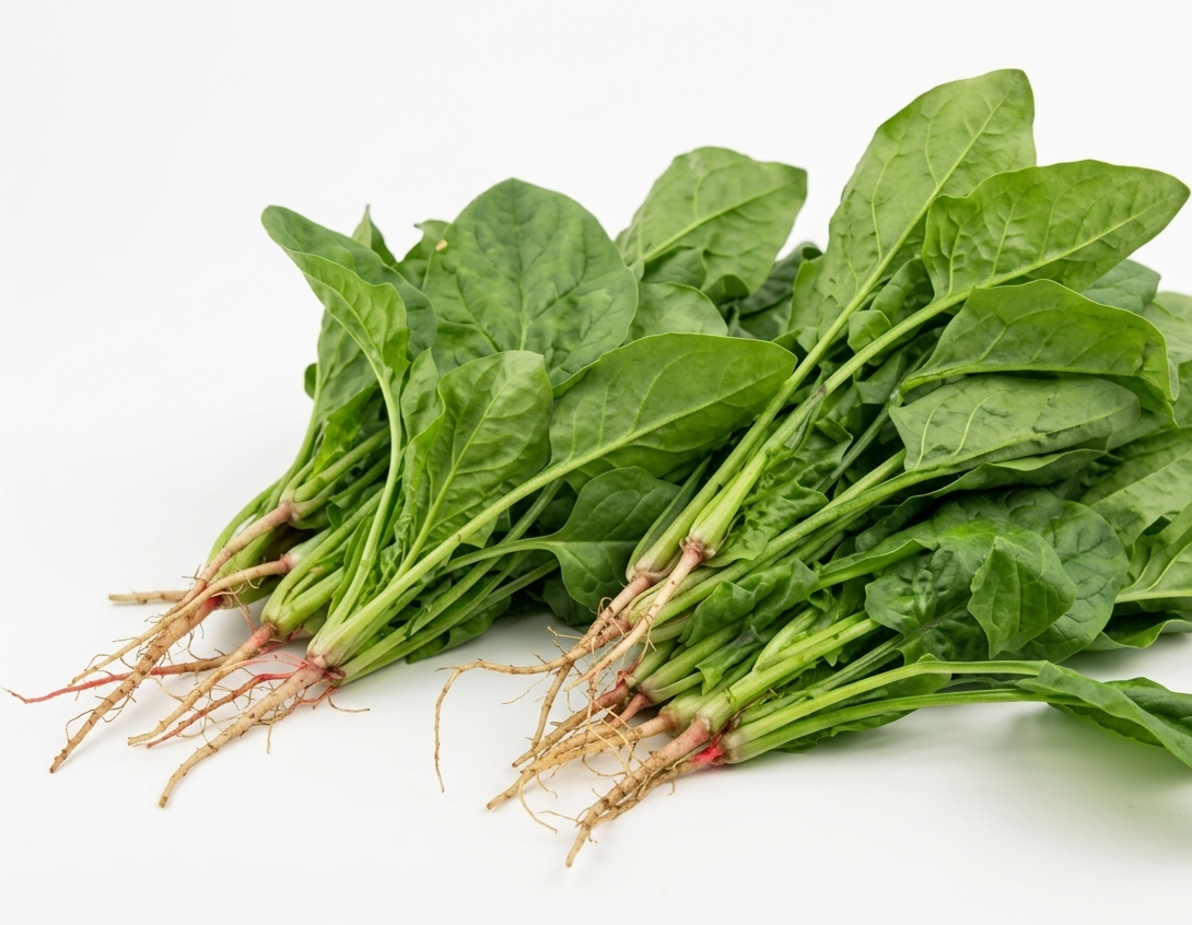Fresh Spinach – Tender, Vibrant & Perfect for Healthy Everyday Meals