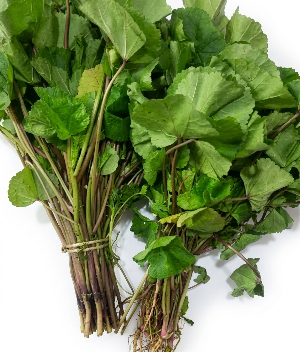 Fresh Lapa Saag – Farm Fresh Nutritious Green Leafy Vegetable