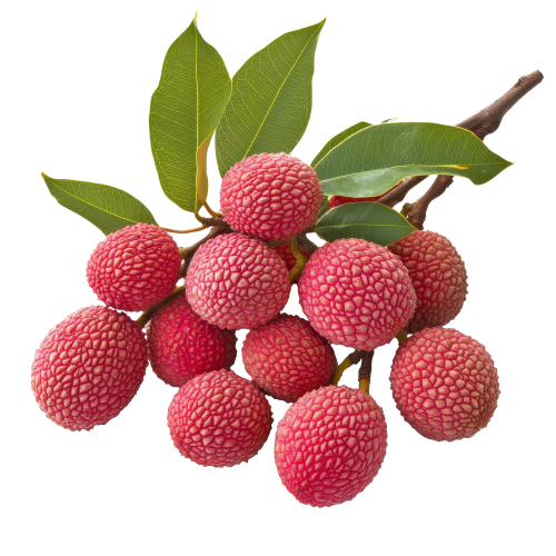 Farm Fresh Litchi – Sweet, Juicy & Naturally Refreshing