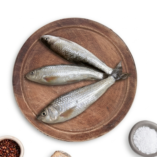 Fresh Bata Fish – Tender, Freshwater & Rich in Protein