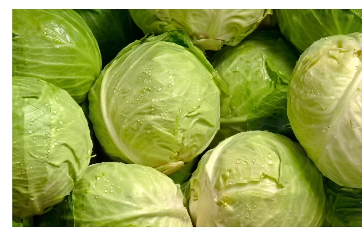 Fresh Badhakopi (Cabbage) – Crisp, Farm Fresh & Nutritious Vegetable