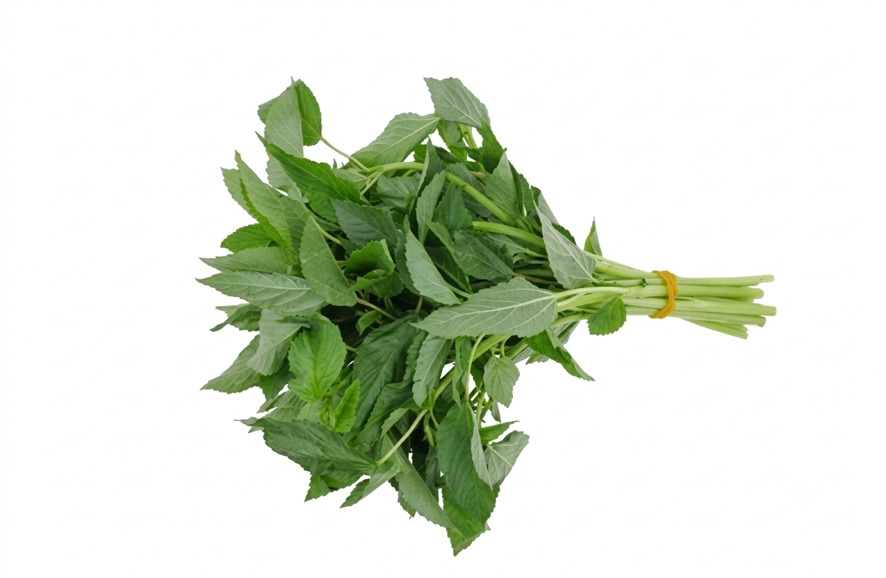 Fresh Pat Saag (Jute Leaves) – Farm Fresh Nutritious Green Leafy Vegetable