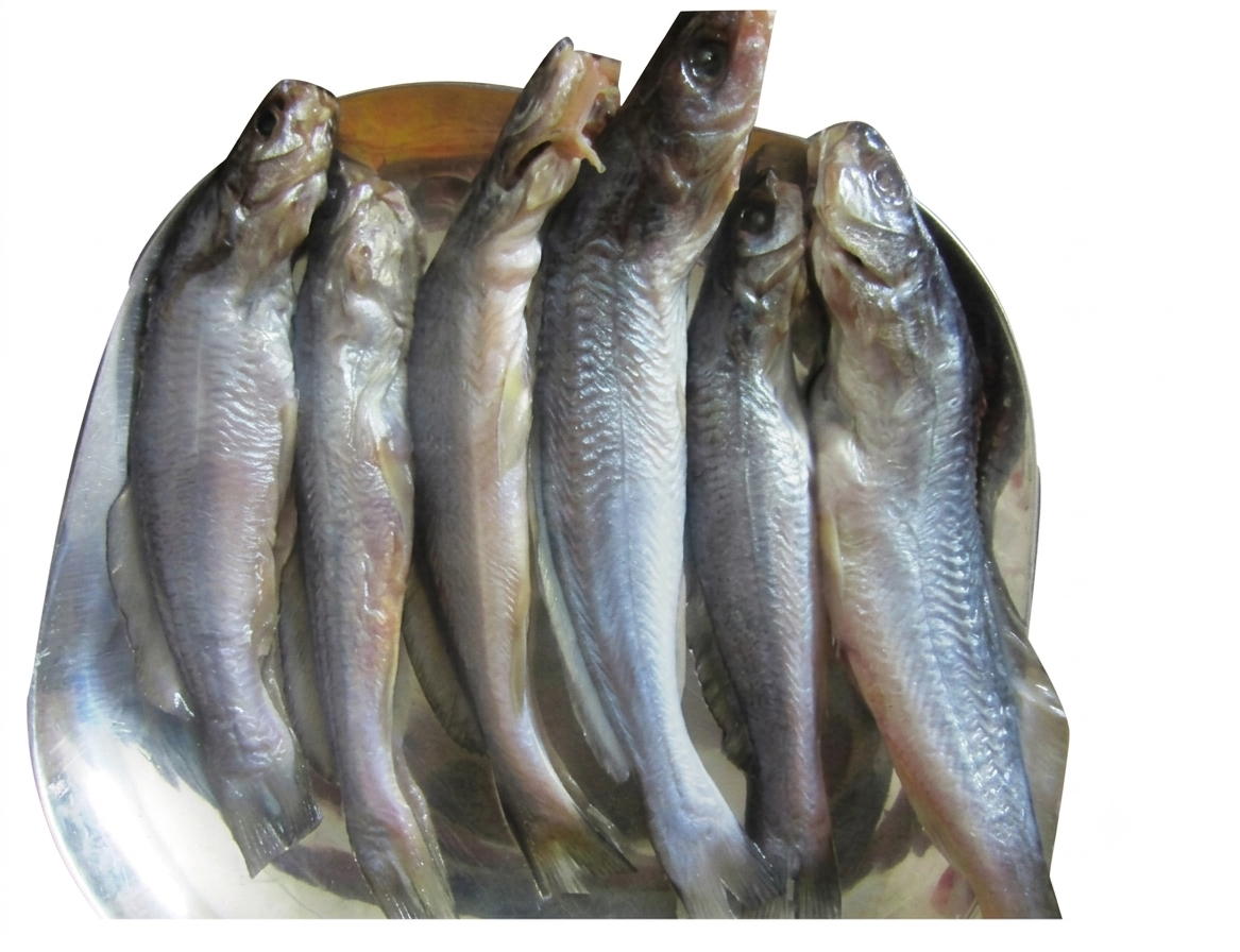 Fresh Aar Mach cut pieces – Tender, Flavorful & Perfect for Bengali-Style Fish Curry