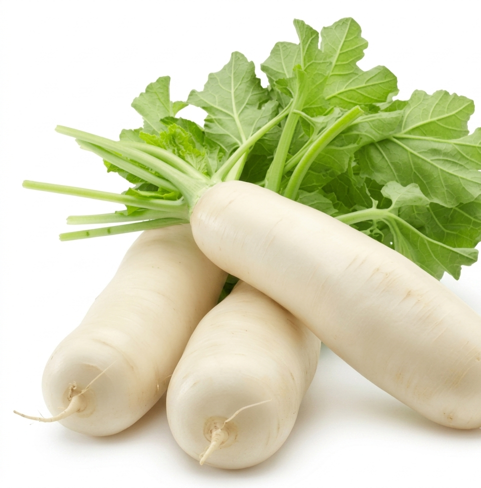 Fresh Mula (Radish) – Farm Fresh, Crisp & Nutritious Root Vegetable