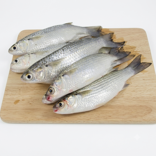 Fresh Fesha Fish – Tender, Flavourful & Rich in Protein