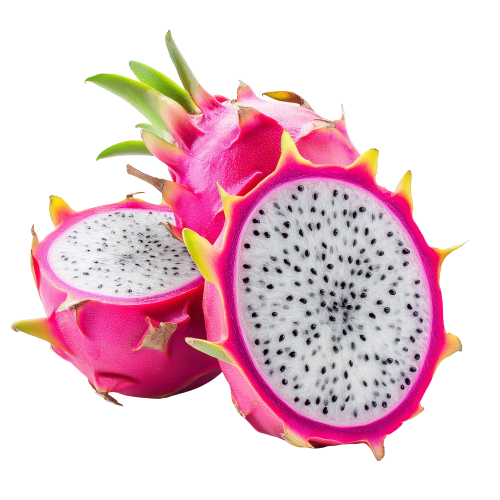 Premium Dragon Fruit – Exotic, Refreshing & Nutrient-Rich