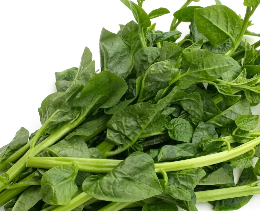 Fresh Pui Saag – Farm Fresh Malabar Spinach Leafy Vegetable