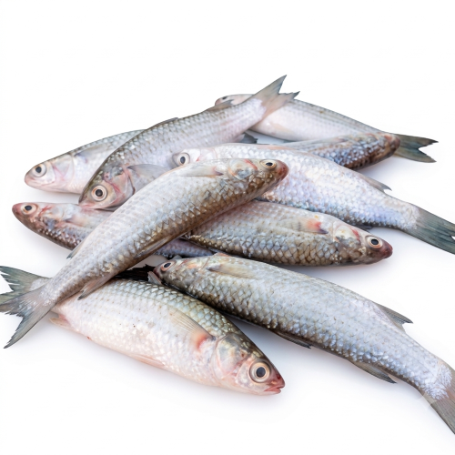 Fresh Rui Pona – Tender Freshwater Fish, Rich in Protein