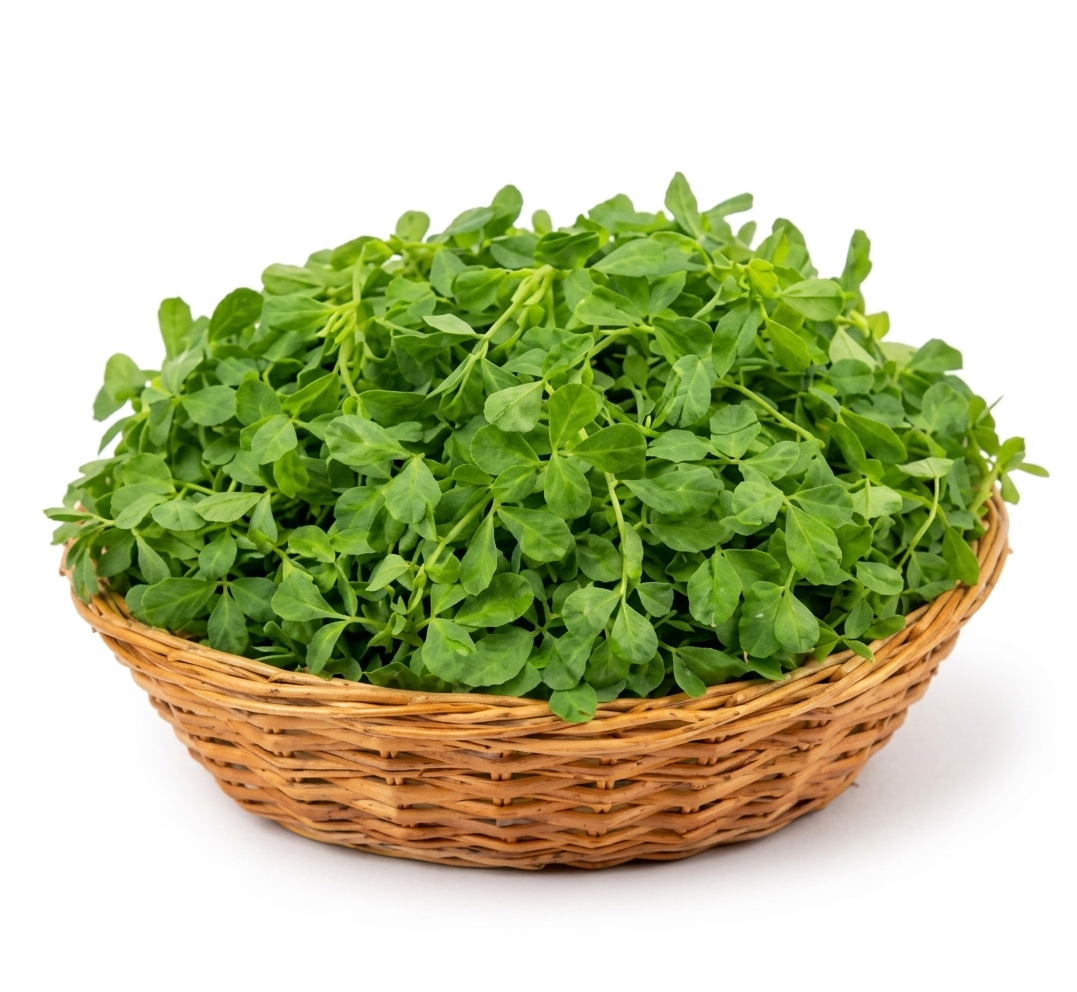 Fresh Fenugreek Leaves (Methi) – Farm Fresh Aromatic Leafy Greens