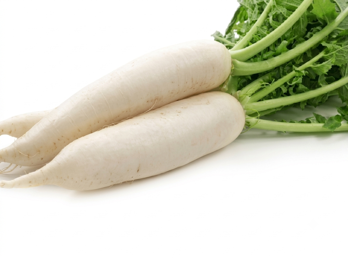 Fresh Mula (Radish) – Farm Fresh, Crisp & Nutritious Root Vegetable