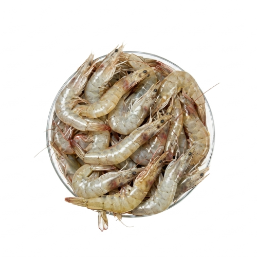Fresh Small Chingri – Tender, Flavourful & Rich in Protein