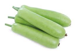 Farm Fresh Bottle Gourd – Soft, Healthy & Nutritious